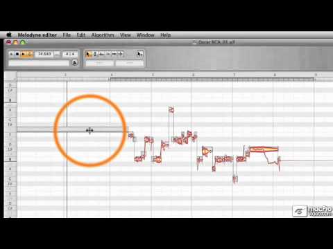 Melodyne 101: Core Melodyne - 04 Transport Overview