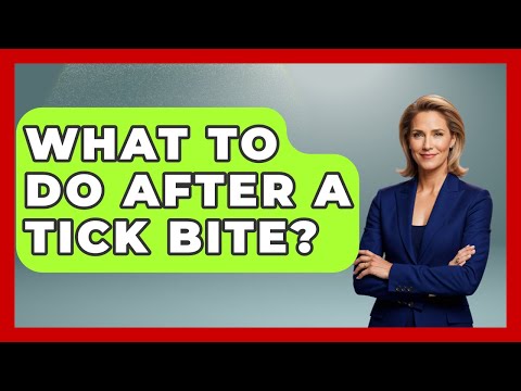 What To Do After A Tick Bite? - Insects and Invaders