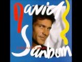 David Sanborn - High Roller
