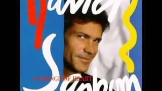 David Sanborn - High Roller