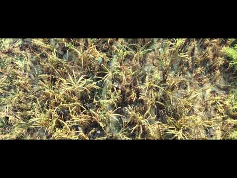 Bande-annonce VOSTF HD: The Impossible