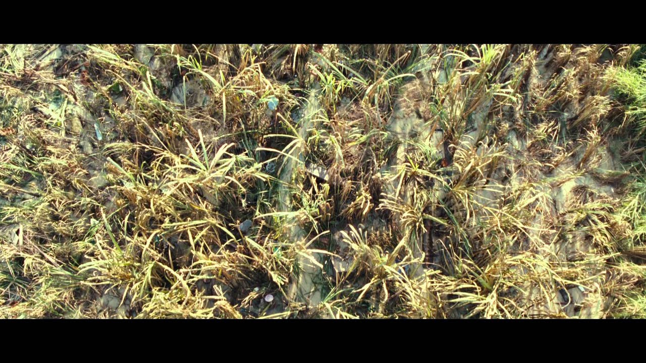 Miniature de la vidéo Bande-annonce VOSTF HD: The Impossible du film L'impossible