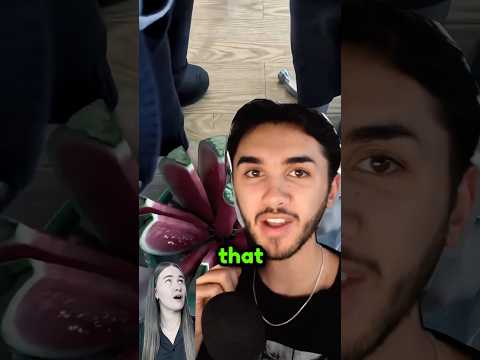 She tried a watermelon slicer... #shorts #shortsfeed #youtubeshorts #cringe #lifehack #comedy #funny