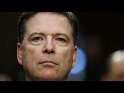 Comey is a disgruntled former employee: Puzder