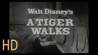 A Tiger Walks Walt Disney 1964 TV Spot 16mm HD Brian Keith Vera Miles Pamela Franklin Sabu Trailer