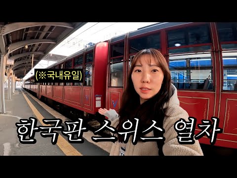 단돈 7,300원으로 즐기는 스위스 뺨치는 한국의 협곡열차🚂 with 진짜하늬 Real Hanie