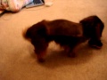 First Steps After 3rd Back Surgery