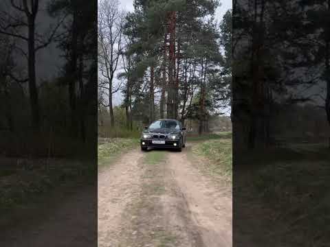 фото bmw 5 серии iv (e39) рестайлинг 0