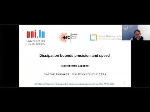 Massimiliano Esposito @ CSH Online Workshop Stochastic thermodynamics of complex systems