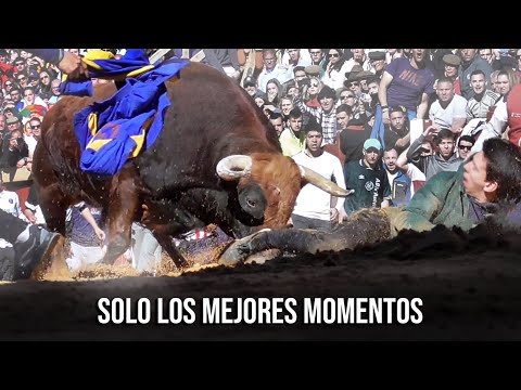 Toros Bravos Solo Mejores Momentos de Ciudad Rodrigo