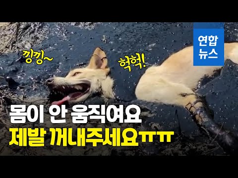 아이콘