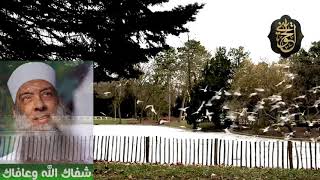 صورة المحبة تمنعك من المعصية | للشيخ الحويني