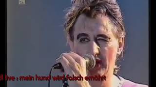 georg ringsgwandl   mein hund wird falsch ernährt   live