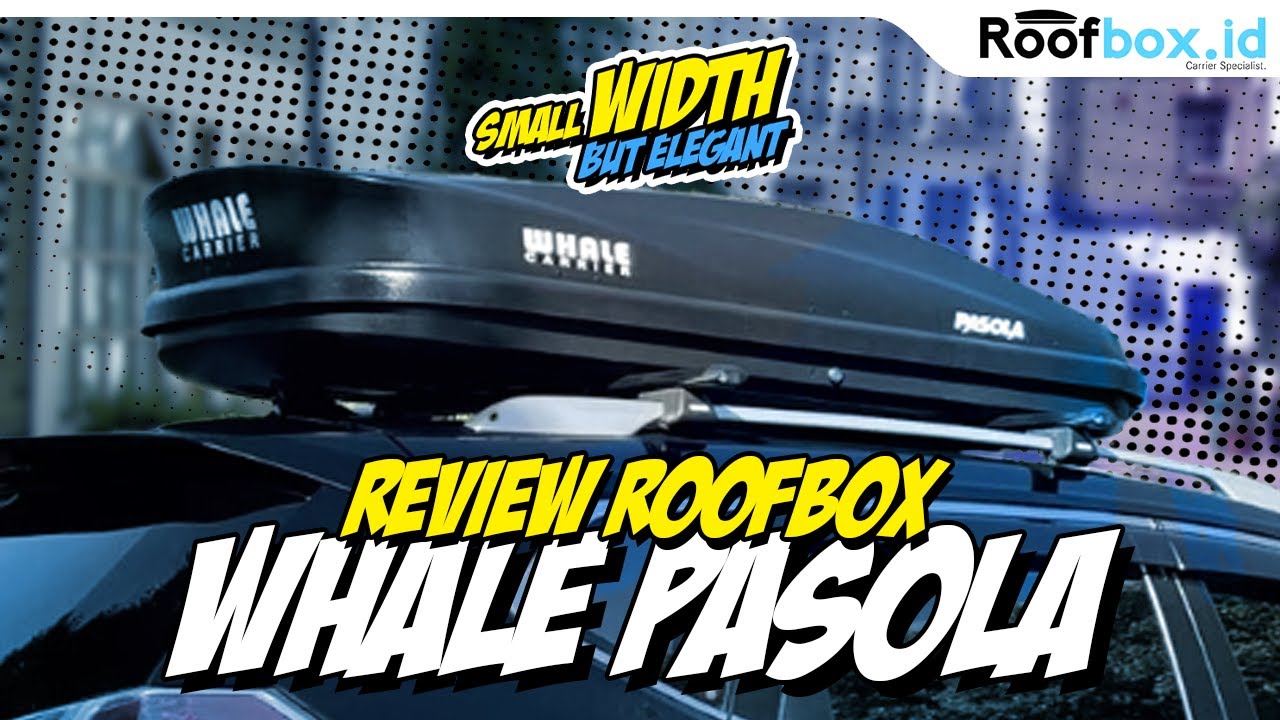 Review #roofbox Whale Pasola By Roofbox.id