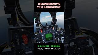 F-14をVRで着艦させる練習（肉入りLSO） #dcs #dcsworld