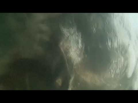 Sidewinder aka D.Dan - Can You Float