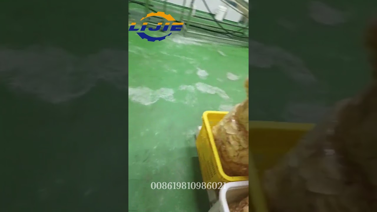 300kg/h large potato chips processing plant, fresh-cut potato chips packaging manufacturing plant