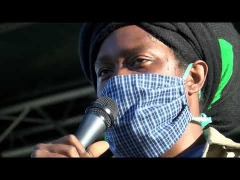 Greg Roy - Green Woods Roots and Culture Revival