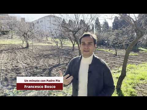 Padre Pio: Não duvide de mim. Eu te acompanho sempre com as minhas orações