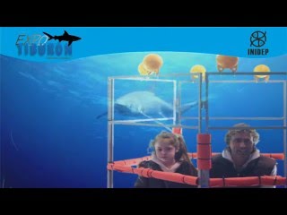 DIA 2 Expo Tiburon318