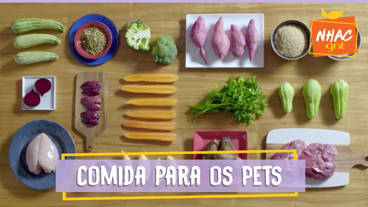 Marmitando: opções de comida caseira para cachorros e gatos | Caio Braz | Marmitas e Merendas