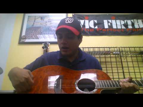 Ovation Celebrity CC28 Overview