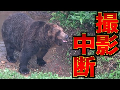 「恐ろしい」:研究者が無人島で驚くべき発見をする