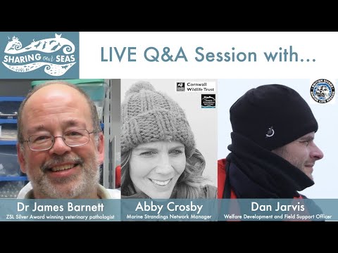 SHARING OUR SEAS: Strandings LIVE Q&A Session