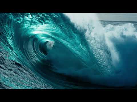 Trailer-Vorschau: Ein perfekter Planet