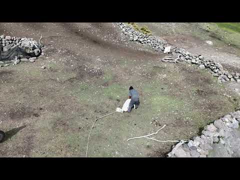 pocacorral antabamba apurimac