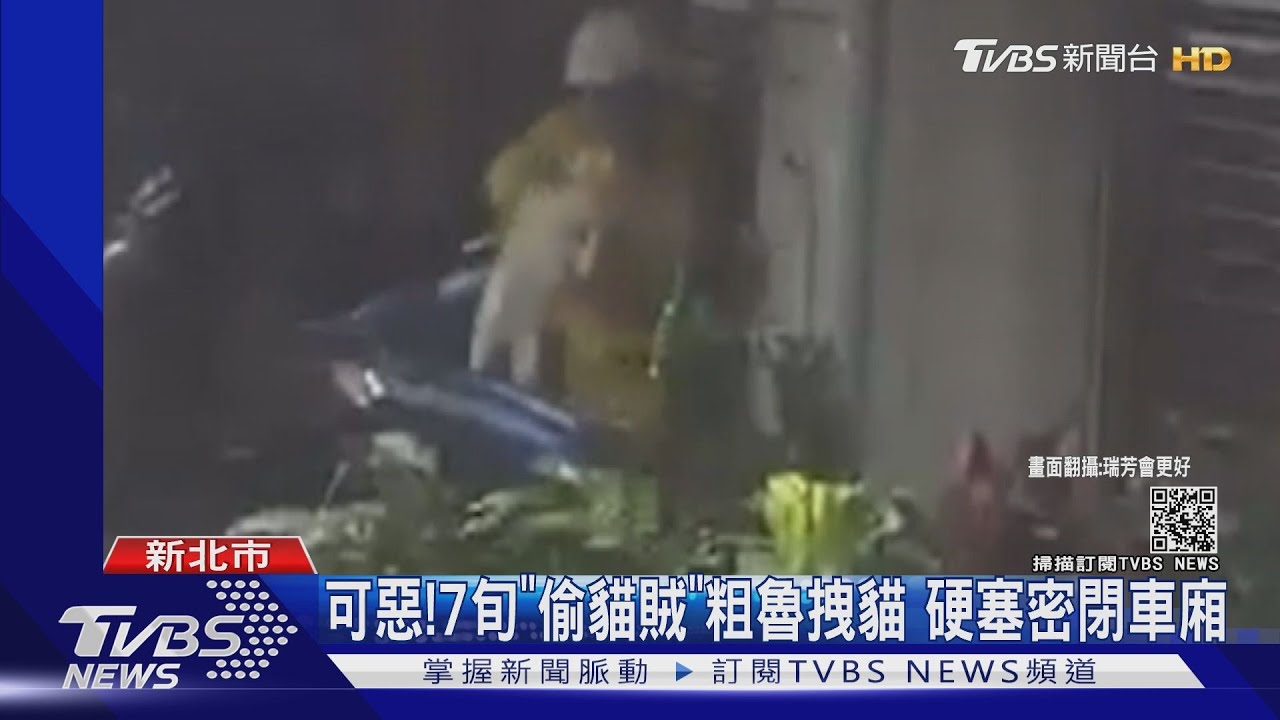 可惡!7旬「偷貓賊」粗魯拽貓 硬塞密閉車廂