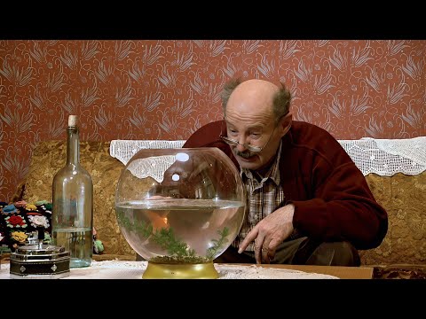 Lud,zbunjen,normalan | EP59 | Zlatna ribica | CIJELA EPIZODA | Remaster