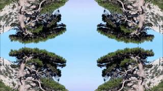 Shanti Machine - Fish Laughing
