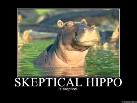 Avicii levels mashup