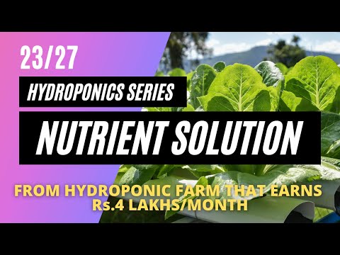 How to make nutrient solution for hydroponics? | 23/27