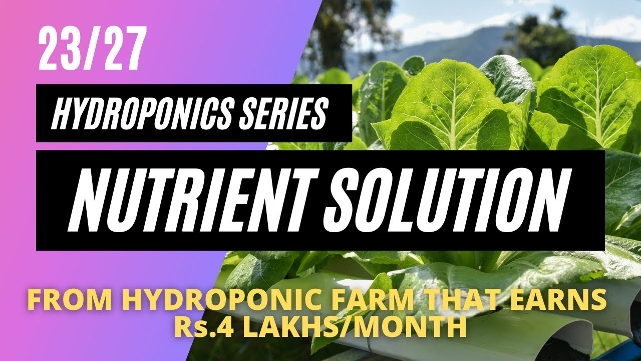 How to make nutrient solution for hydroponics? | 23/27