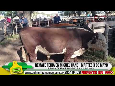 REMATE CEREALES QUEMU