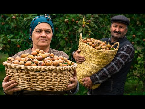 Making Homemade Sweet Medlar Jam