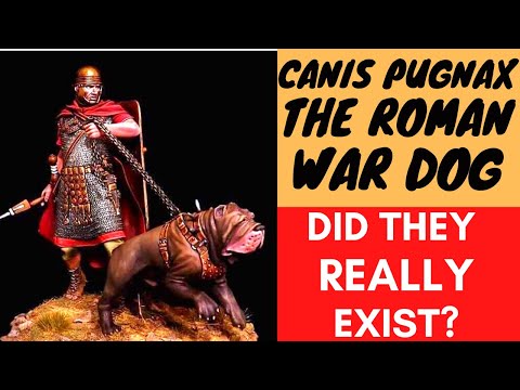 The Roman WAR DOG - Canis Pugnax.  How they were used?  Did they really exist?