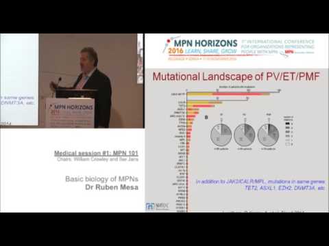 Medical session #1: MPN 101Basic Biology of MPNs