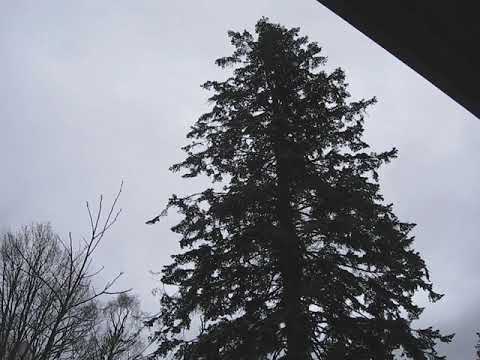 2020-02-23 Ellen Storm