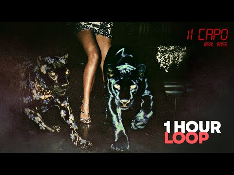 il Capo | Real Boss [Official Song] HipHop | 1 HOUR LOOP