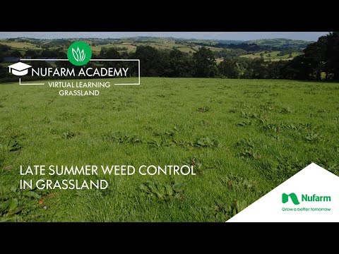 Webinar: Late Summer Weed Control In Grassland