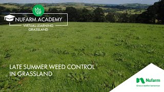 Webinar: Late Summer Weed Control In Grassland