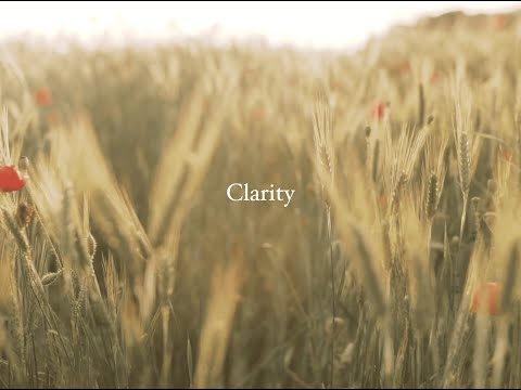 Flo Chase Clarity (Lyric Video)