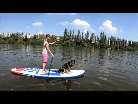 kanukassel-TV: Mit MAIN-SUP Stehpaddeln durch Frankfurt ist KULT