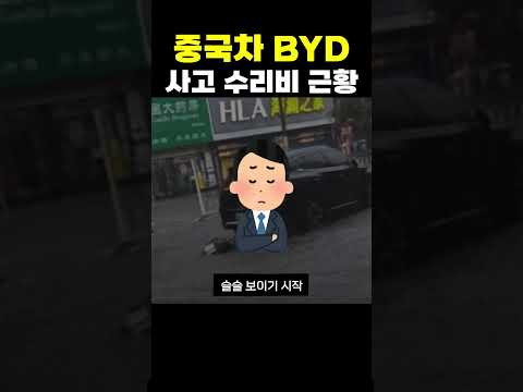 BYD 수리비 근황 ㄷㄷ