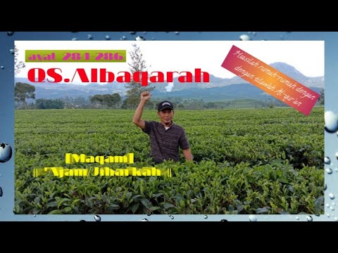 Ngaji Surat Al-baqarah ayat 284-286 Maqam 'Ajam/Jiharkah  || By.Wong Ndeso ||