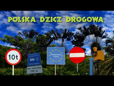 Bezmyślność Polskich kierowców