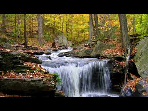 Ethiopian Orthodox Mezmur: Zemarit Zerfe Kebede-አለው ነገር